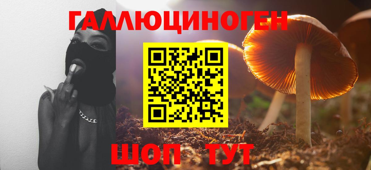 Псилоцибиновые грибы Magic Shrooms Сланцы