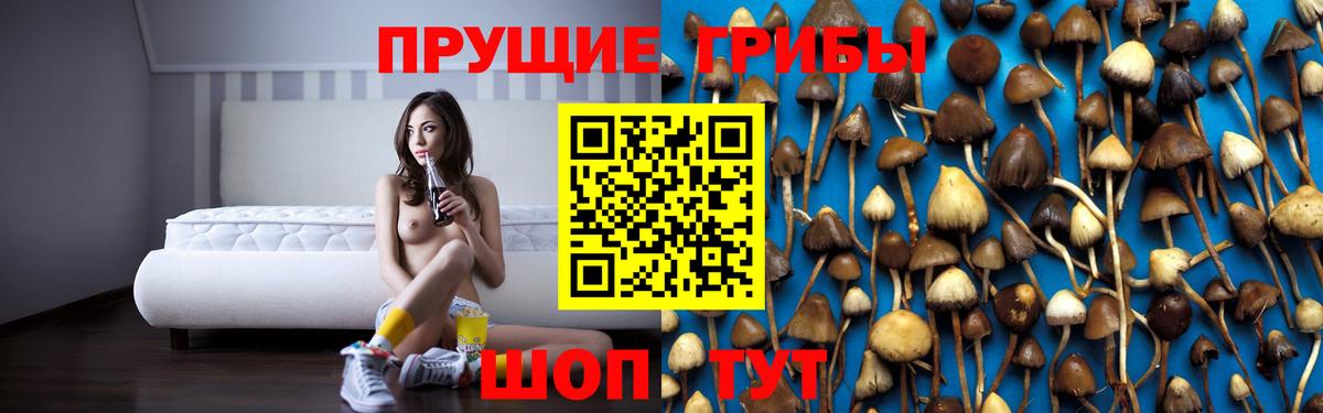 Сланцы  Псилоцибиновые грибы Magic Shrooms  Вход с VPN 
